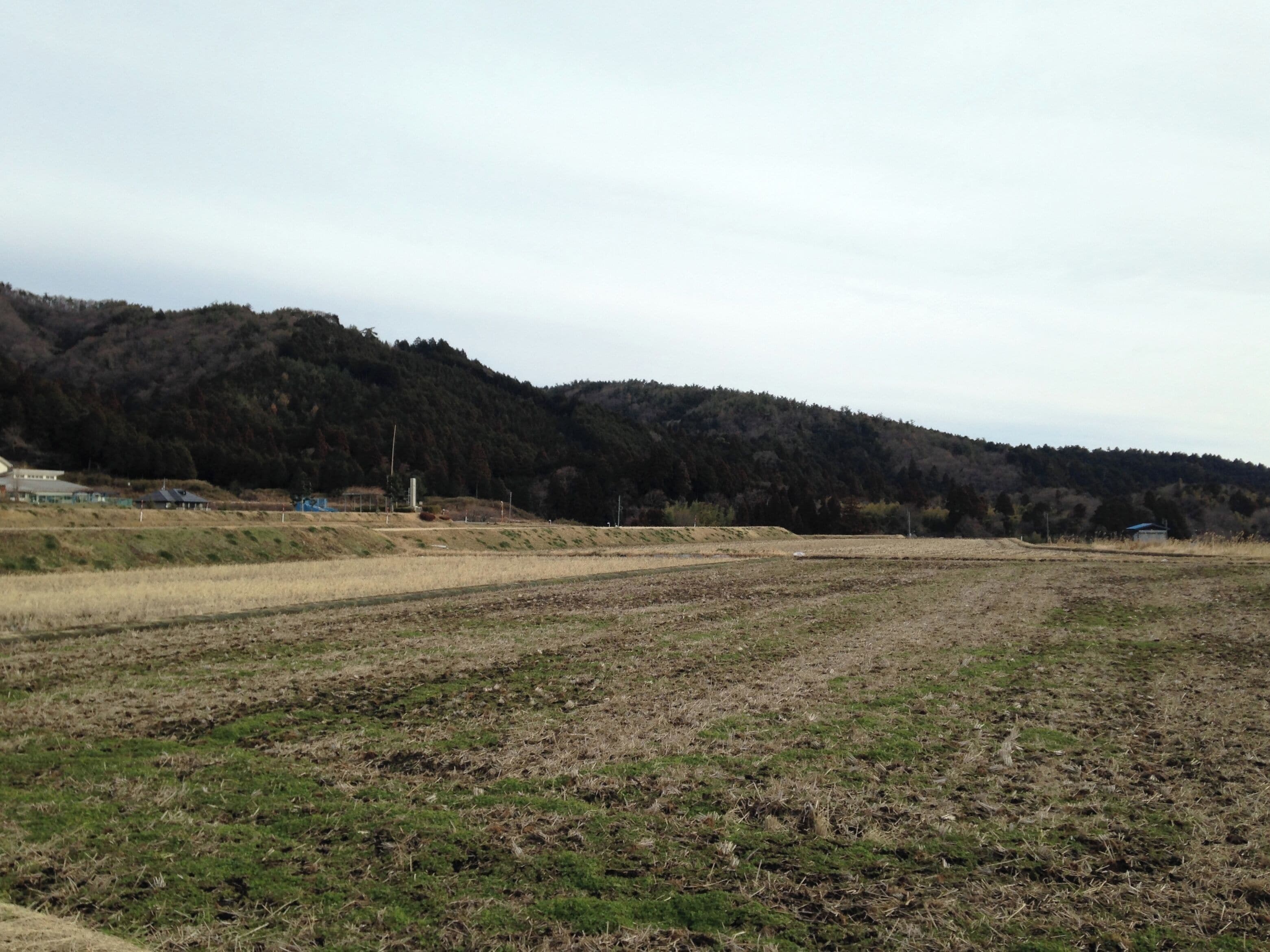関ヶ原古戦場近くの田んぼ