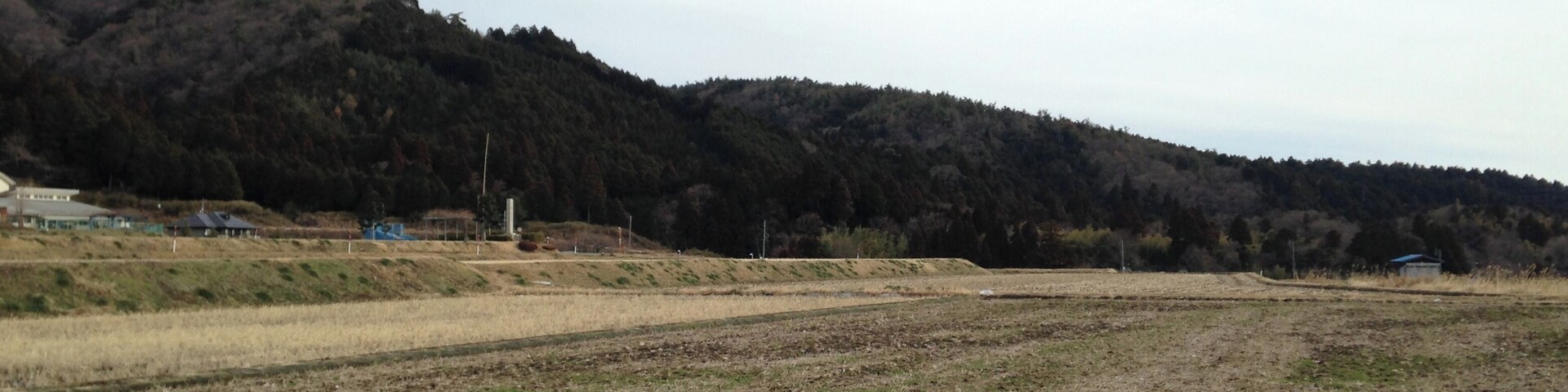関ヶ原古戦場近くの田んぼ