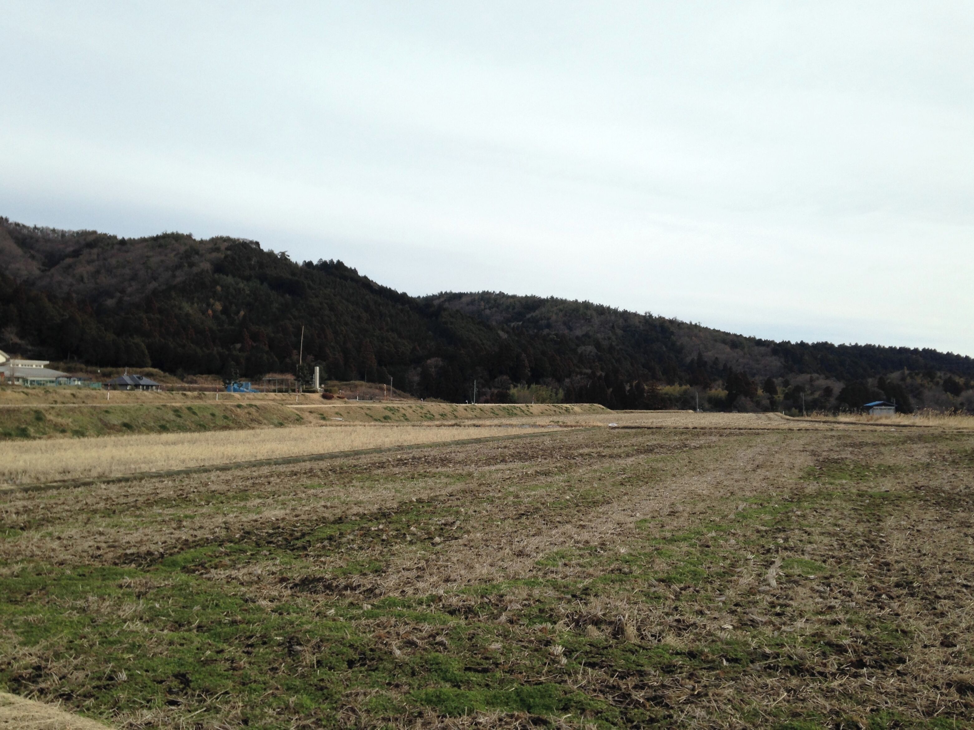 A rural landscape with a field, a forested hill, and a few buildings in the distance.