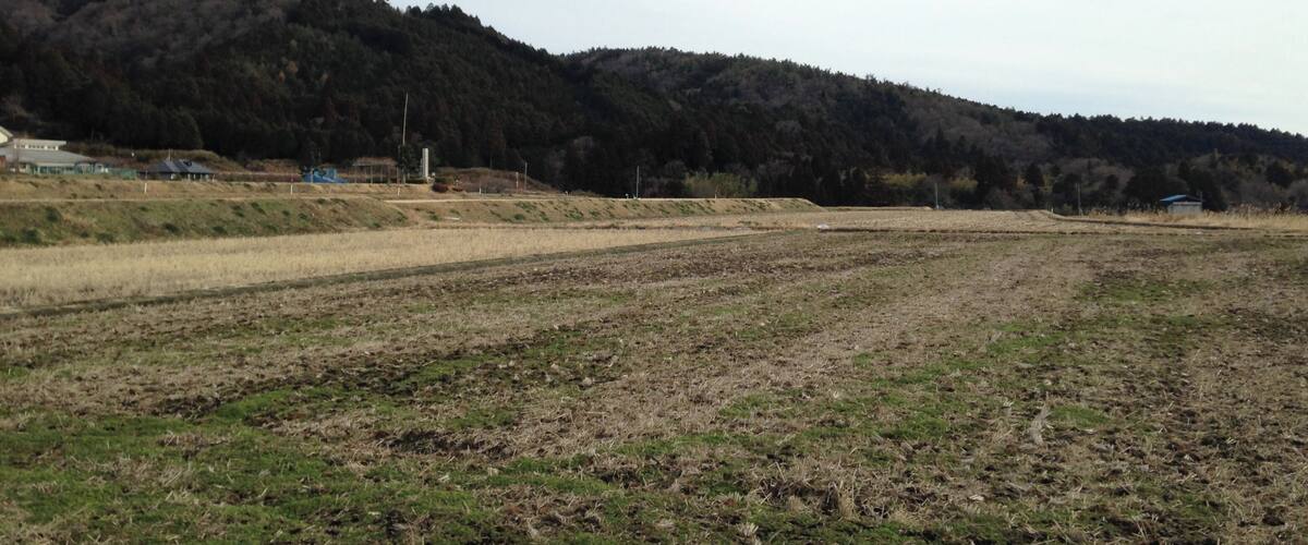 A rural landscape with a field, a forested hill, and a few buildings in the distance.
