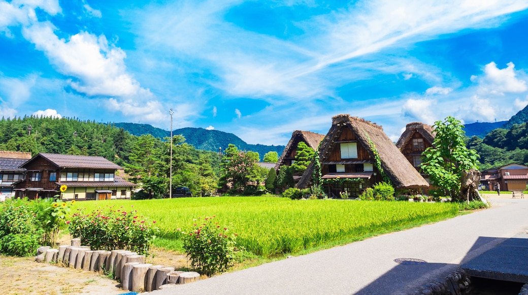 Shirakawa