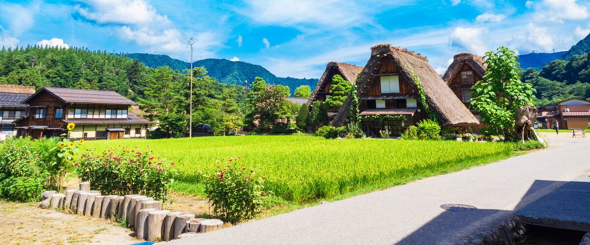 Traditional thatched-roof houses, a green rice field, and a mountain range in the background.