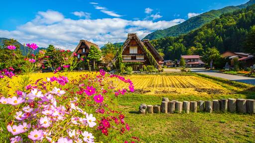 白川町