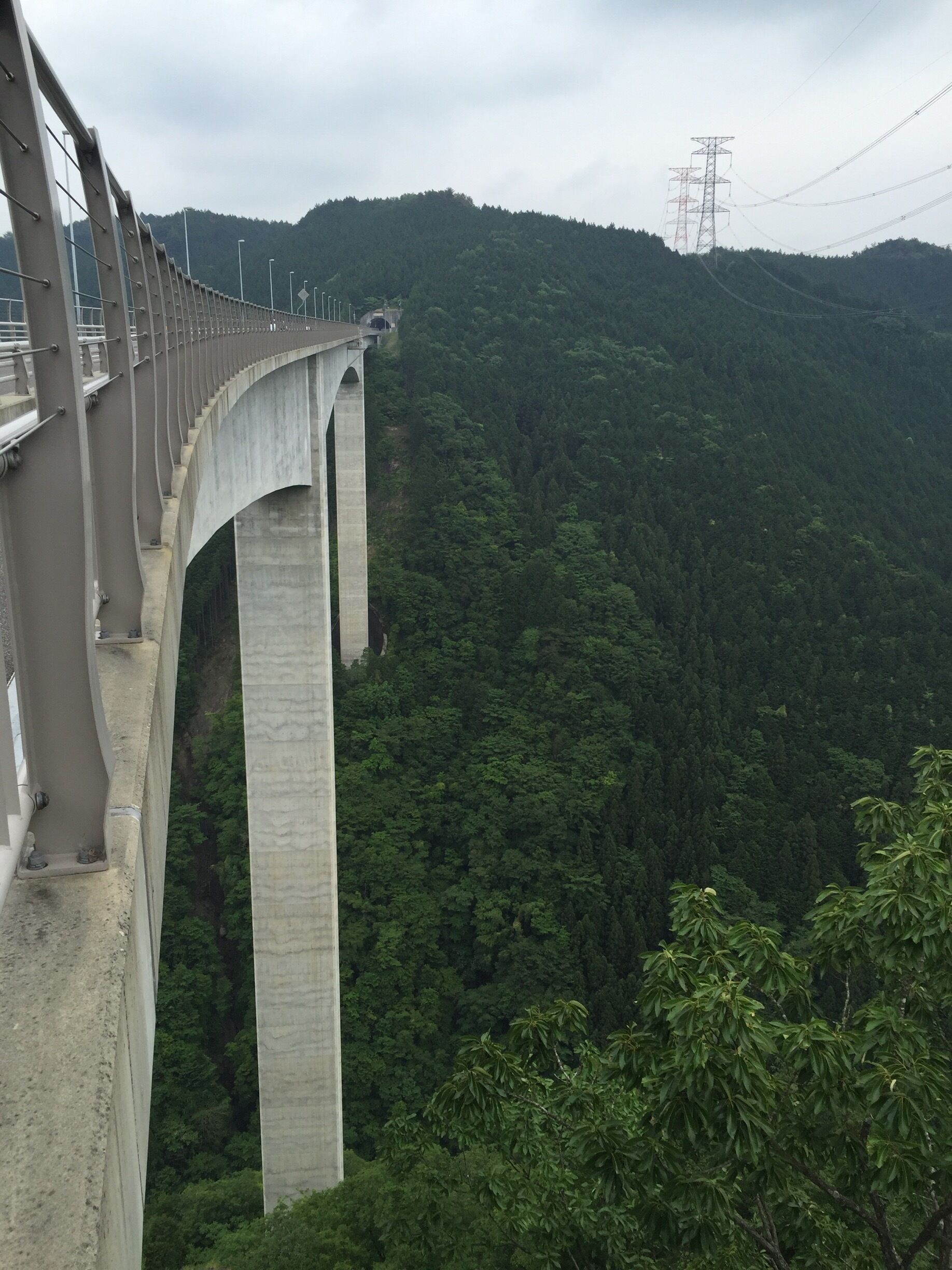 新旅足橋
足の長さ100m
川の水面から200m