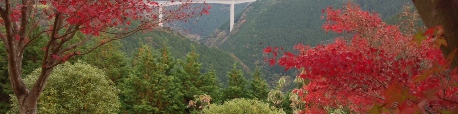 旅足橋
橋脚の高さ100m
谷底まで200m
