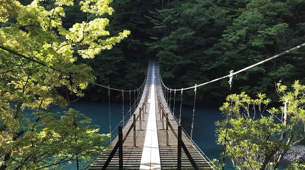 The dream suspension bridge is very wonderful