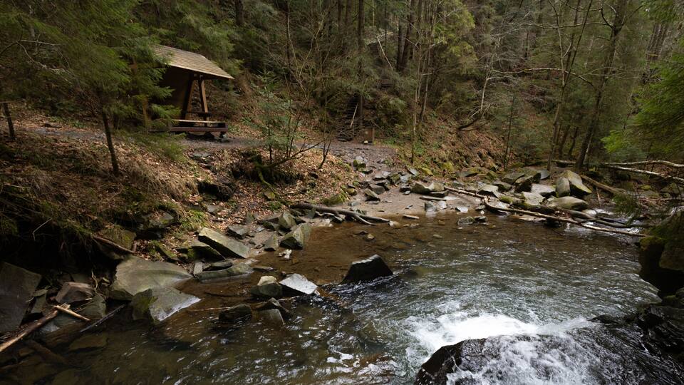 A forested area with a small wooden shelter near a rocky stream.