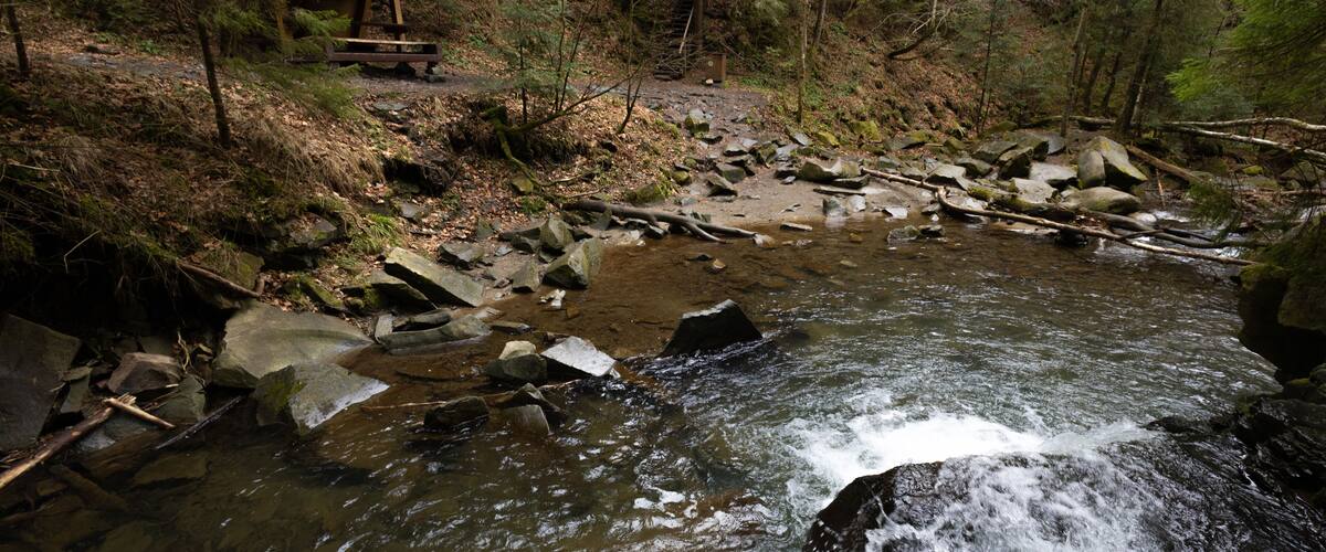 A forested area with a small wooden shelter near a rocky stream.