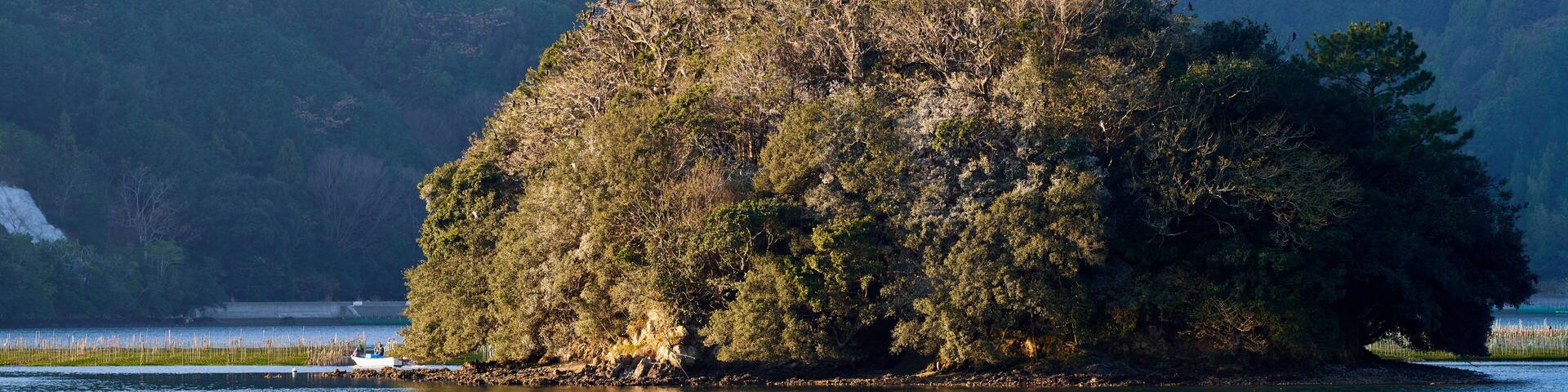 Small Island with Seabirds in Gokasho Bay, Minamiise, Japan