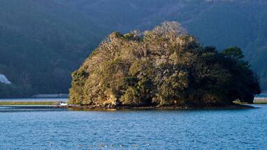 Small Island with Seabirds in Gokasho Bay, Minamiise, Japan
