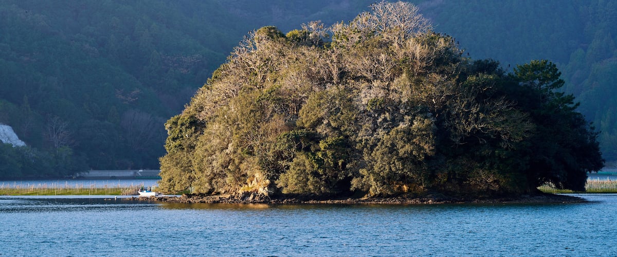 A forested island surrounded by water.