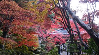 Matsuoji, Aisho, Echi District, Shiga Prefecture 529-1202, Japan