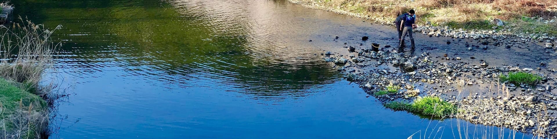 People fishing near the stream while others enjoying the Cherry Blossom