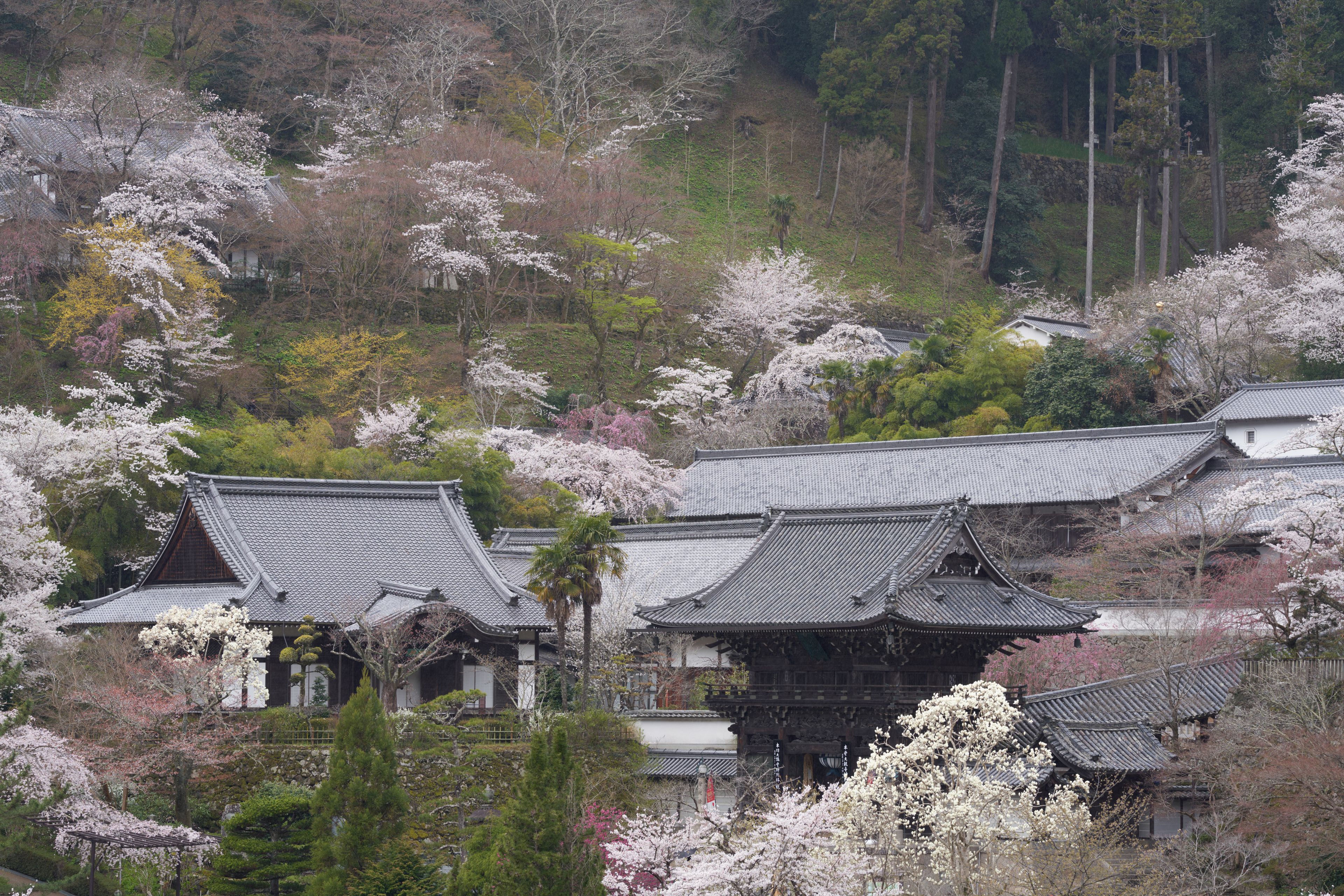 太子町