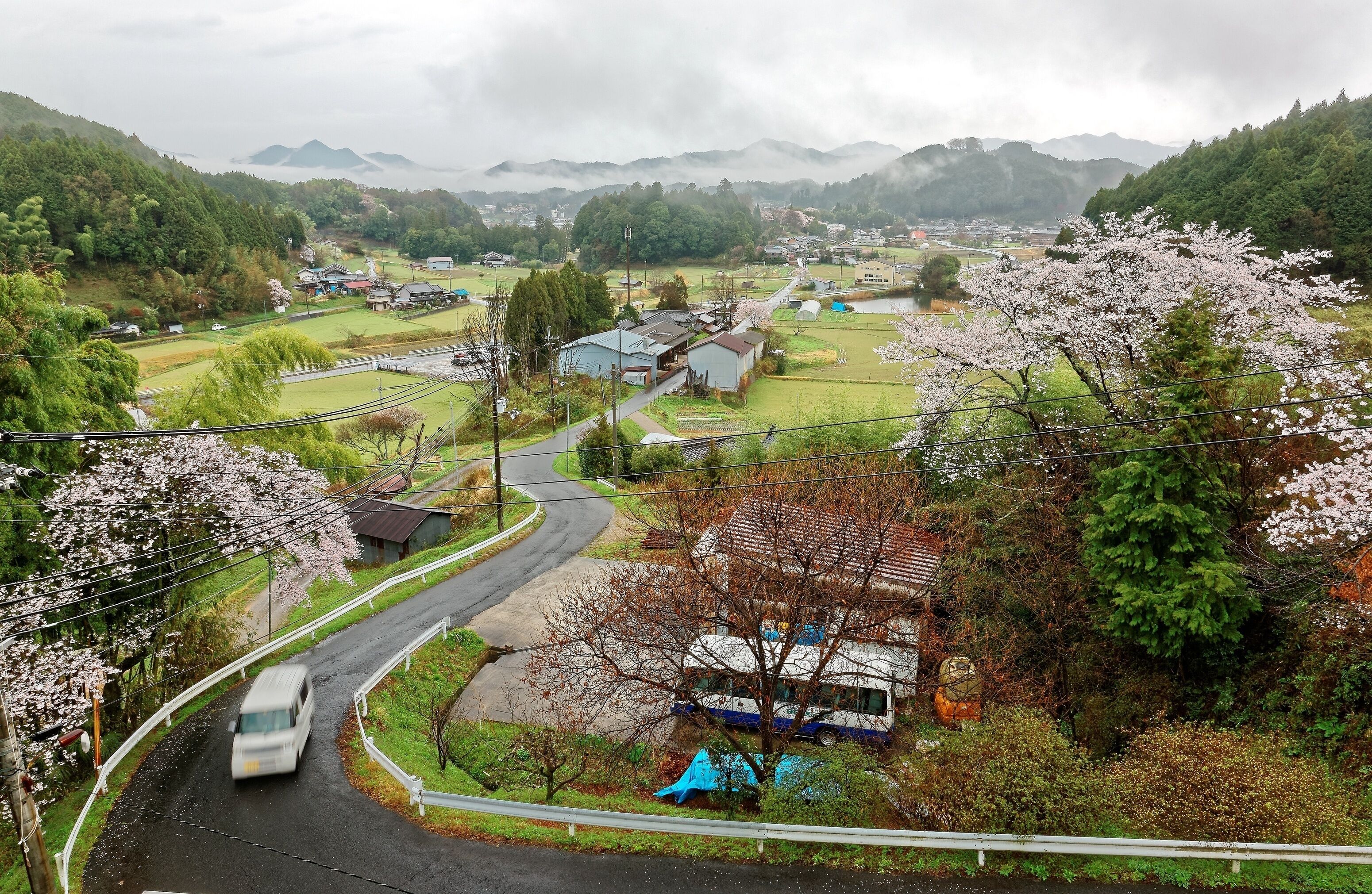 Scenery of Japanese countryside on a foggy morning with view of cherry trees blooming in spring season and silhouettes of distant misty mountains in Uda City, Nara, Kansai Area, Japan