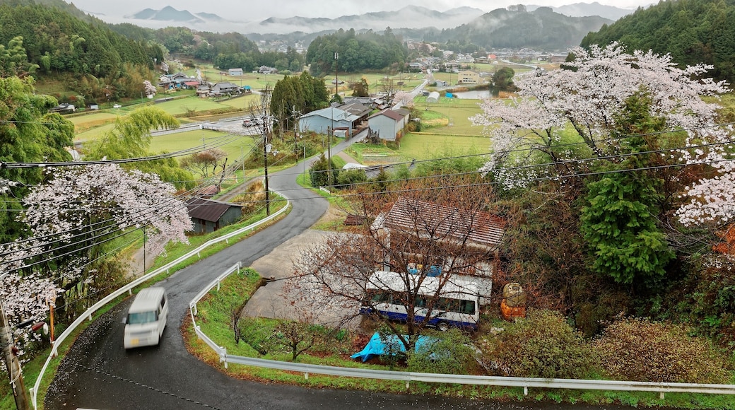 ยามาโซเอะมุระ