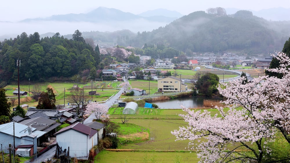 Morning scenery of Japanese countryside with view of cherry trees blooming in misty spring season and the silhouettes of distant foggy mountains in Uda City, Nara, Kansai Area, Japan, Asia