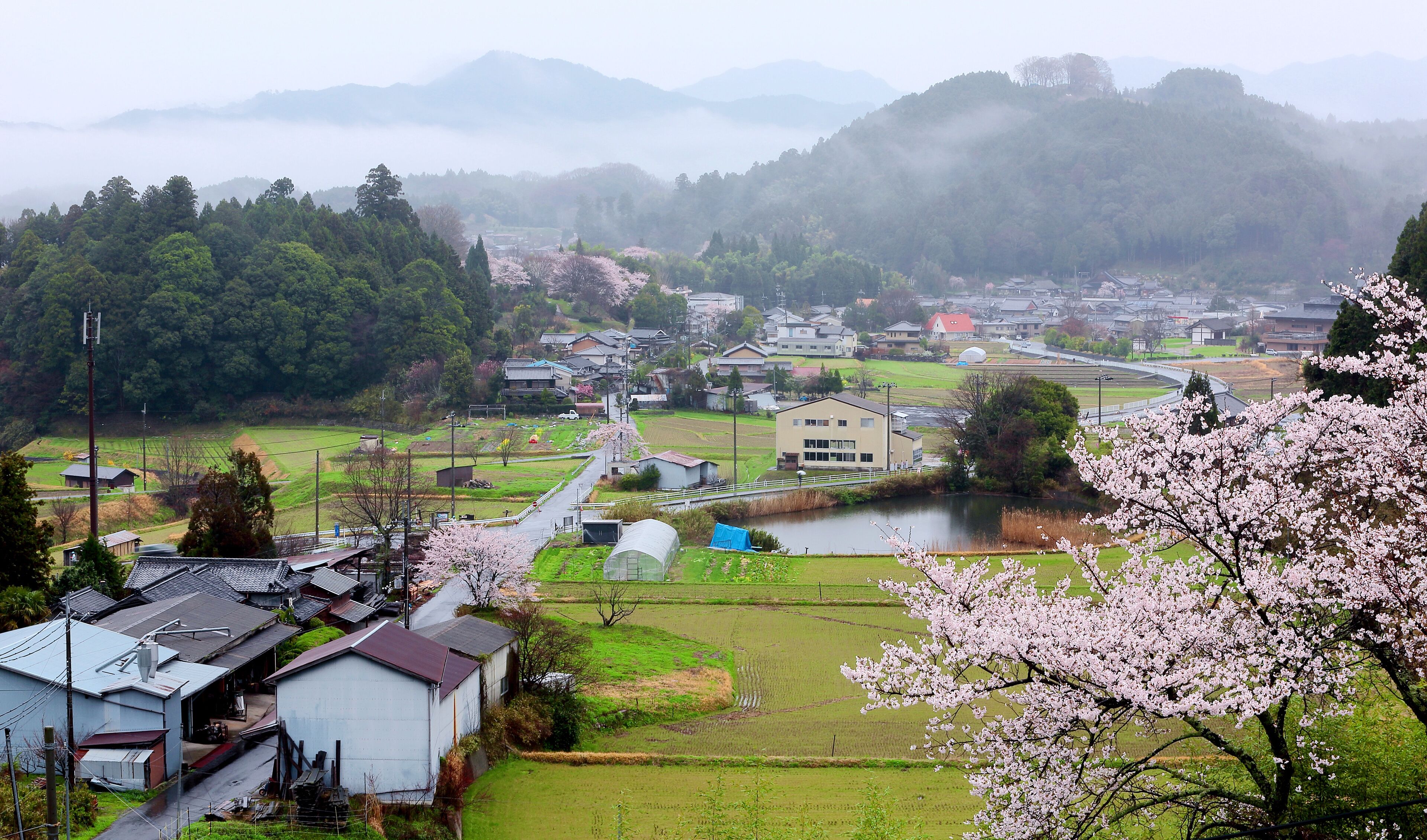A rural landscape with fields, a river, and traditional houses.
