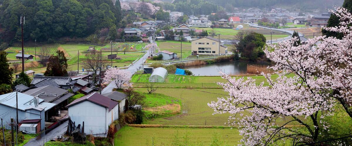 A rural landscape with fields, a river, and traditional houses.