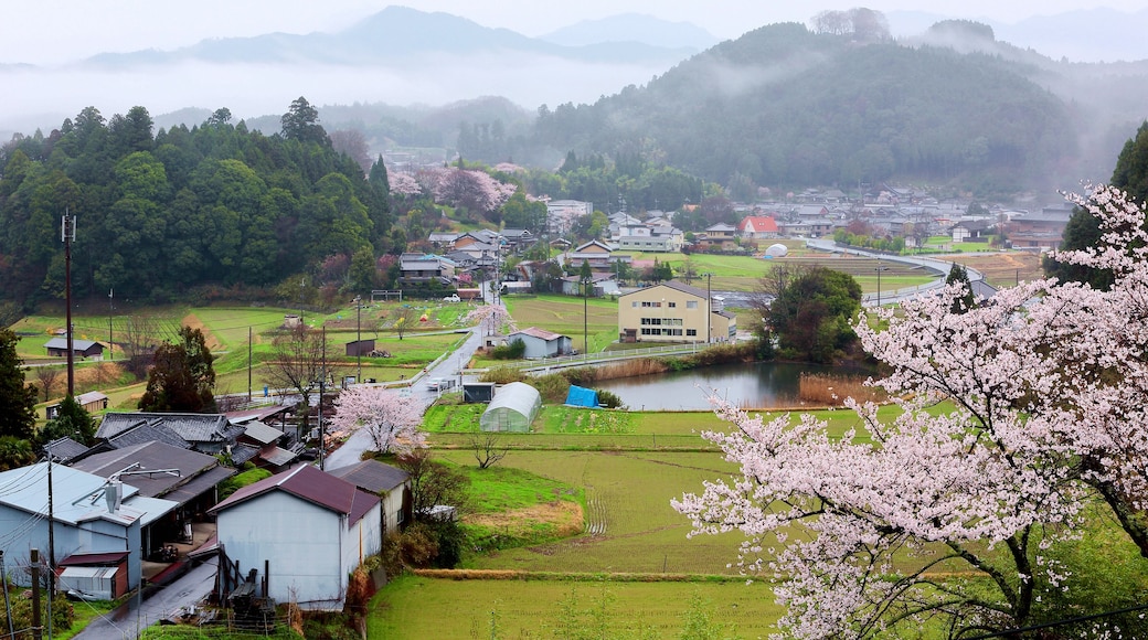 ยามาโซเอะมุระ