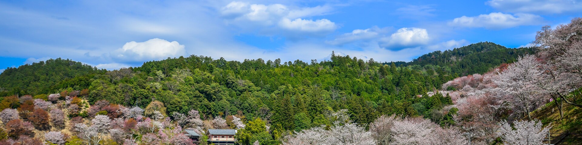 A mountainous landscape with a clear sky, dense forest, and a traditional building.