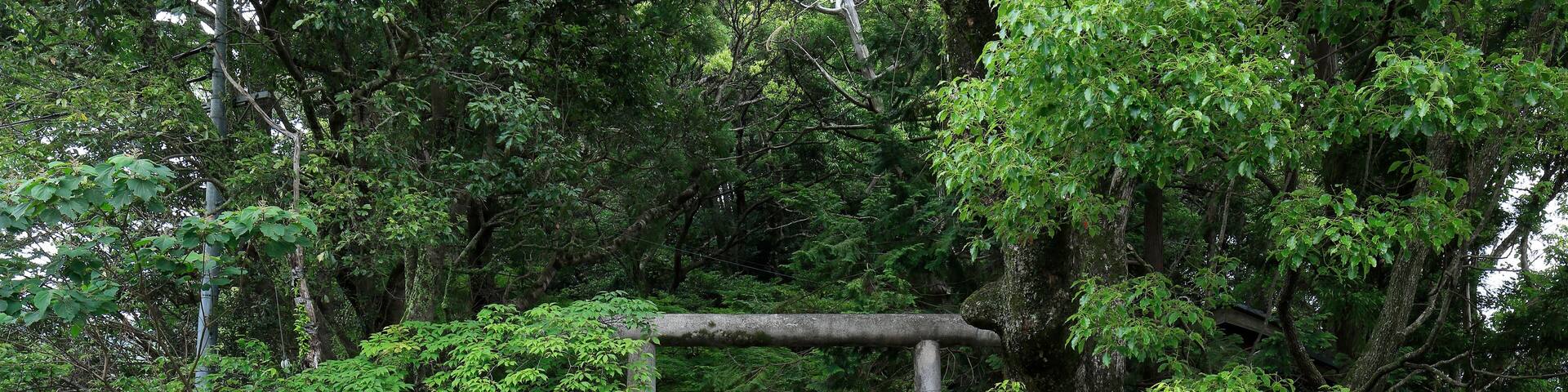 Inaba Oji (shrine), Japan,Wakayama Prefecture