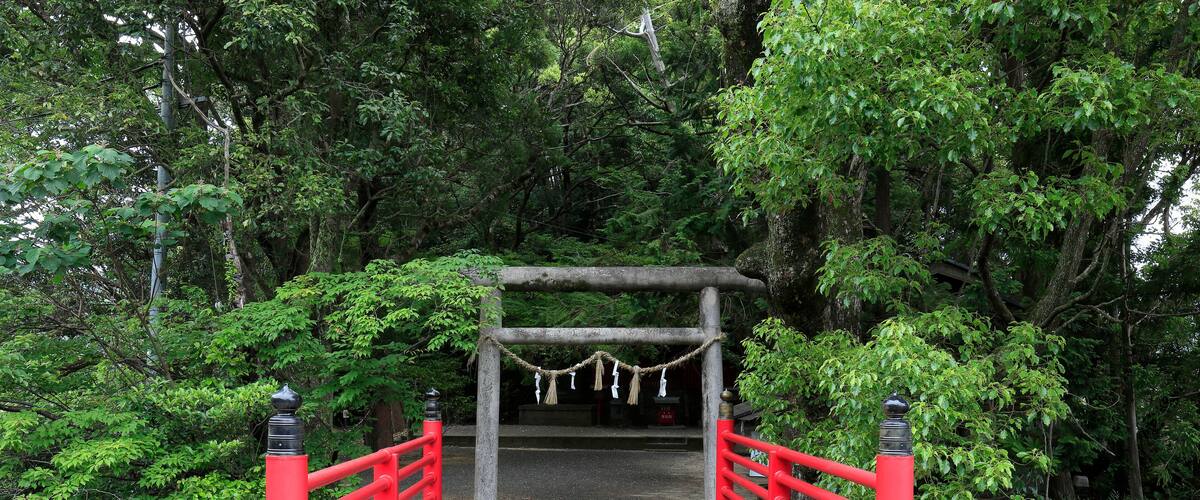 A stone bridge with red railings leading to a wooden archway surrounded by lush greenery.