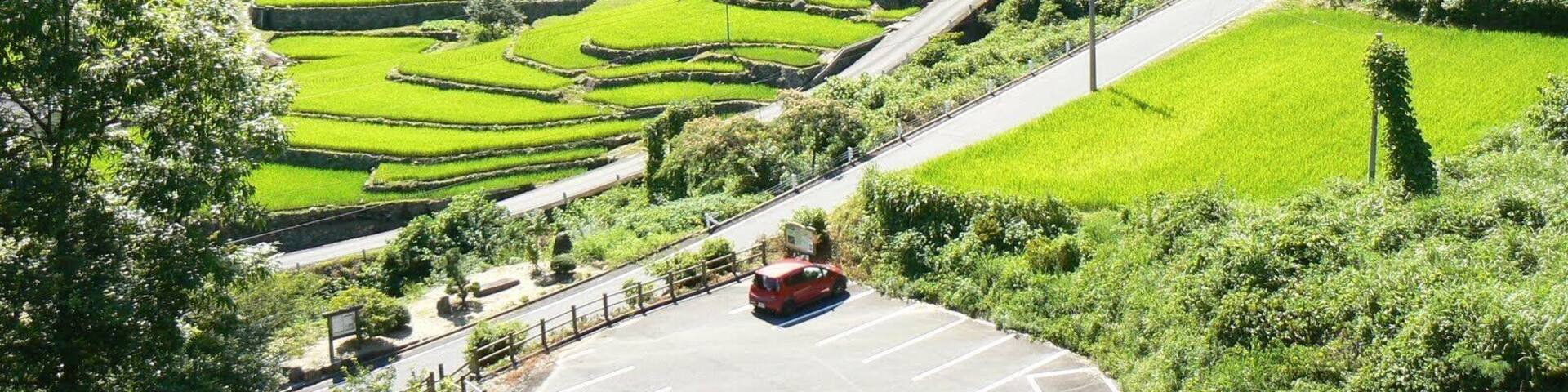 大井谷の棚田全景