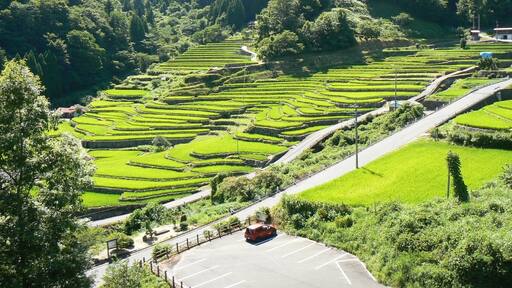 大井谷の棚田全景