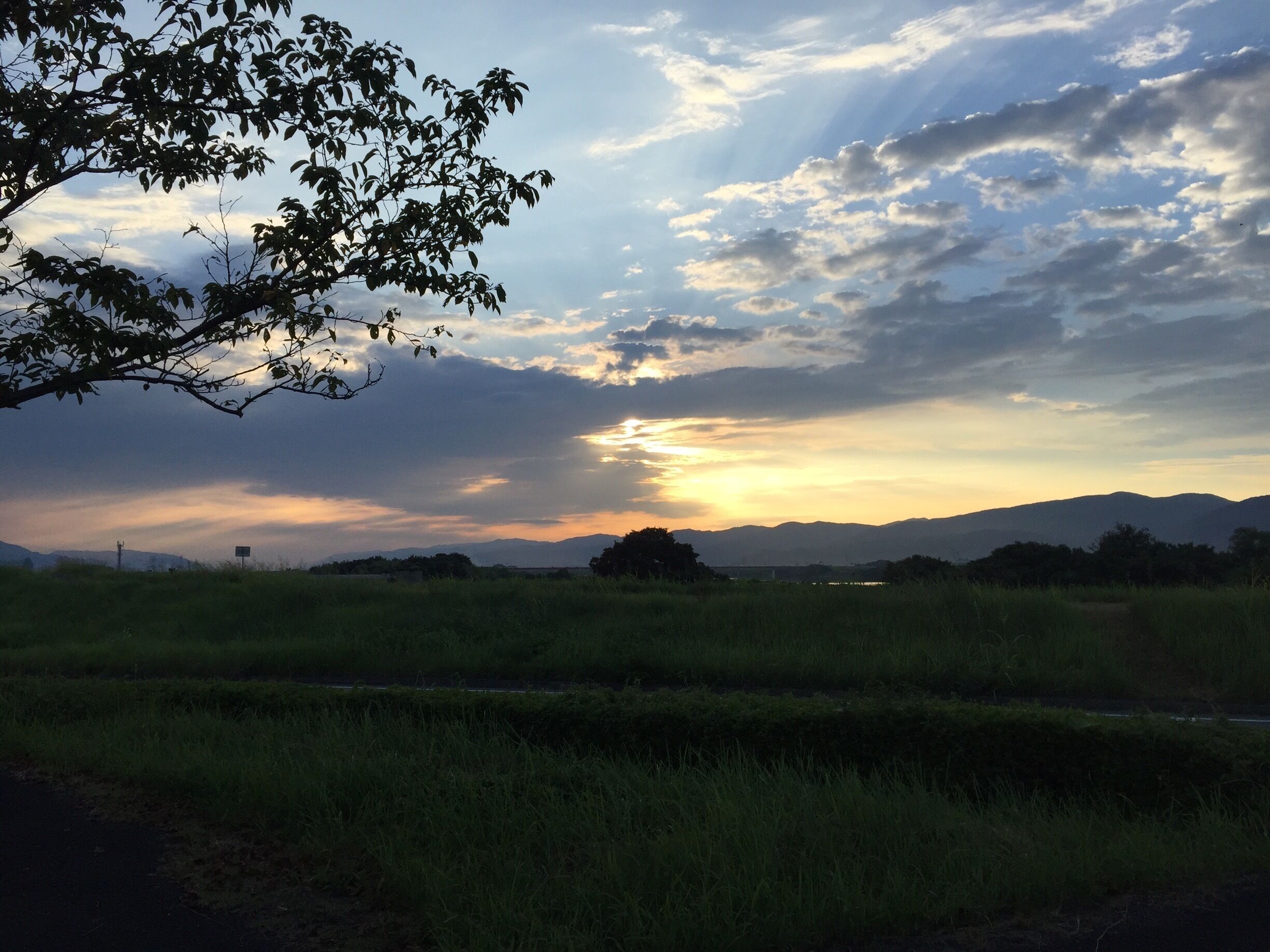 A Japanese countryside sunset