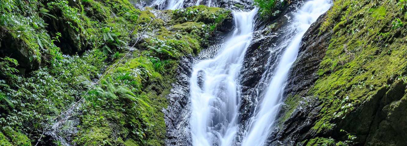 Una cascada escalonada rodeada de exuberante vegetación.