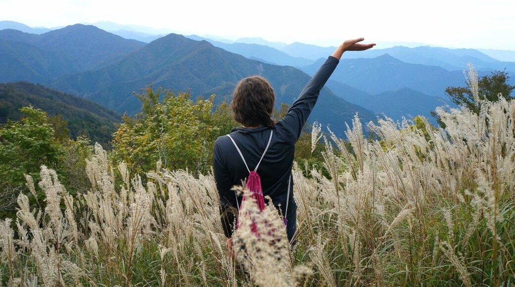 View overlooking much of Tokushima Prefecture in Japan