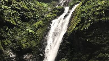 A waterfall cascading down a rocky cliff surrounded by lush green vegetation.