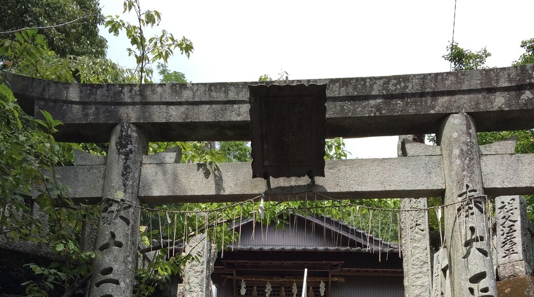 Bike exploration finds