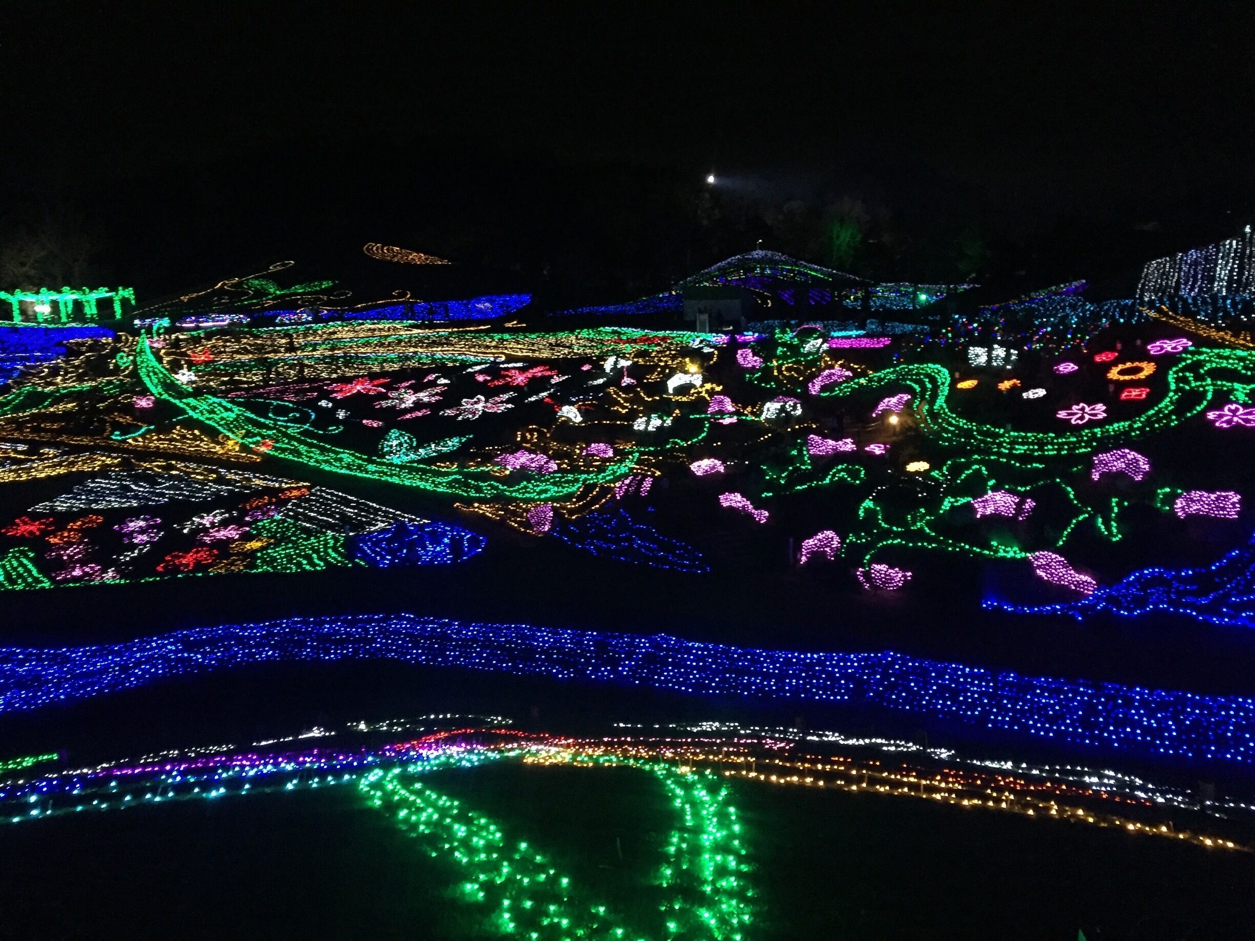 Simply magical field of illuminations