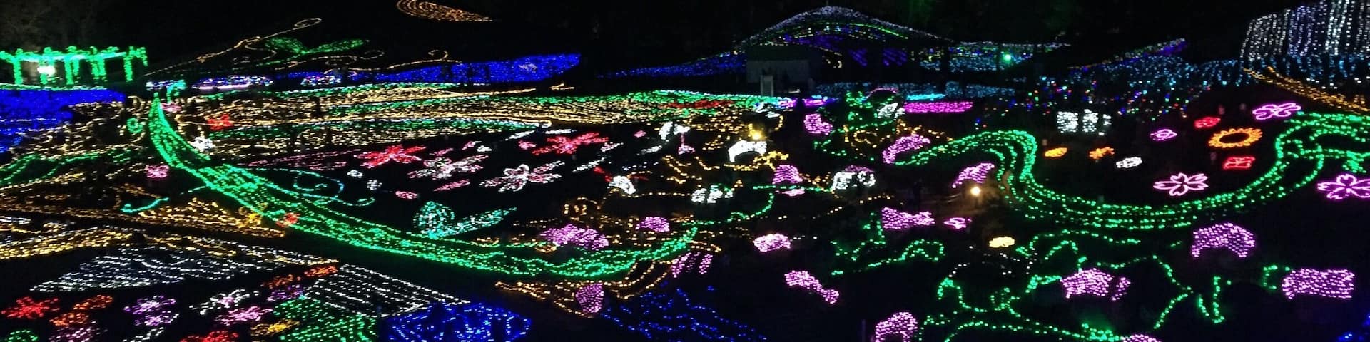 Simply magical field of illuminations