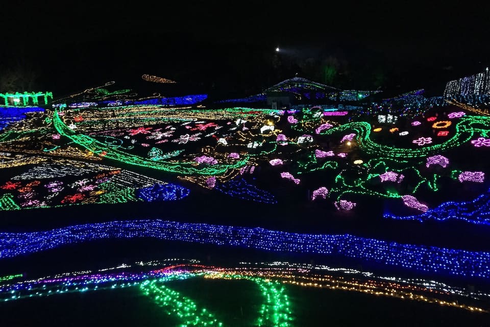 A nighttime view of a park with colorful light installations, including floral patterns and winding paths.