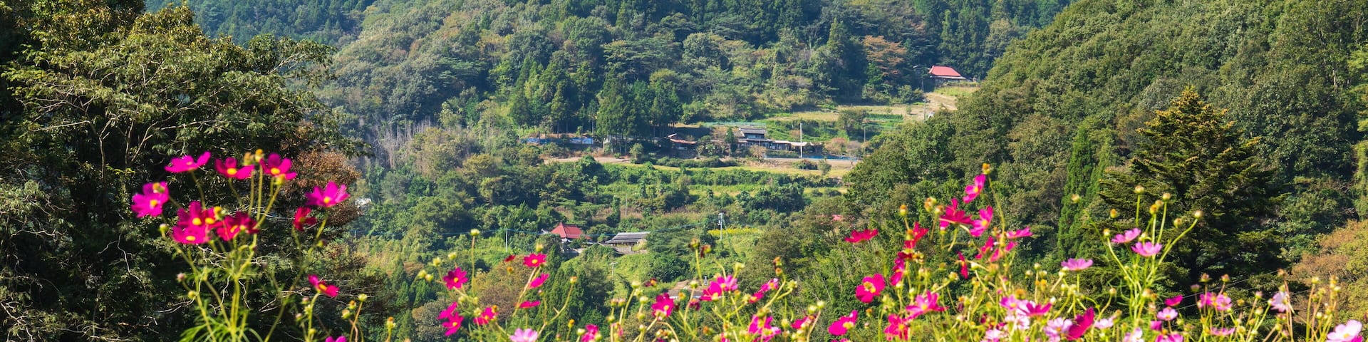 Landscape of autumn village in the mountains ,Shikoku,Japan