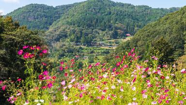 Landscape of autumn village in the mountains ,Shikoku,Japan