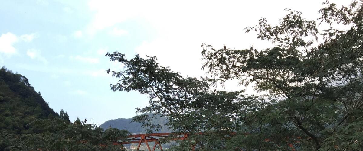 A red bridge over a river surrounded by dense greenery and hills.