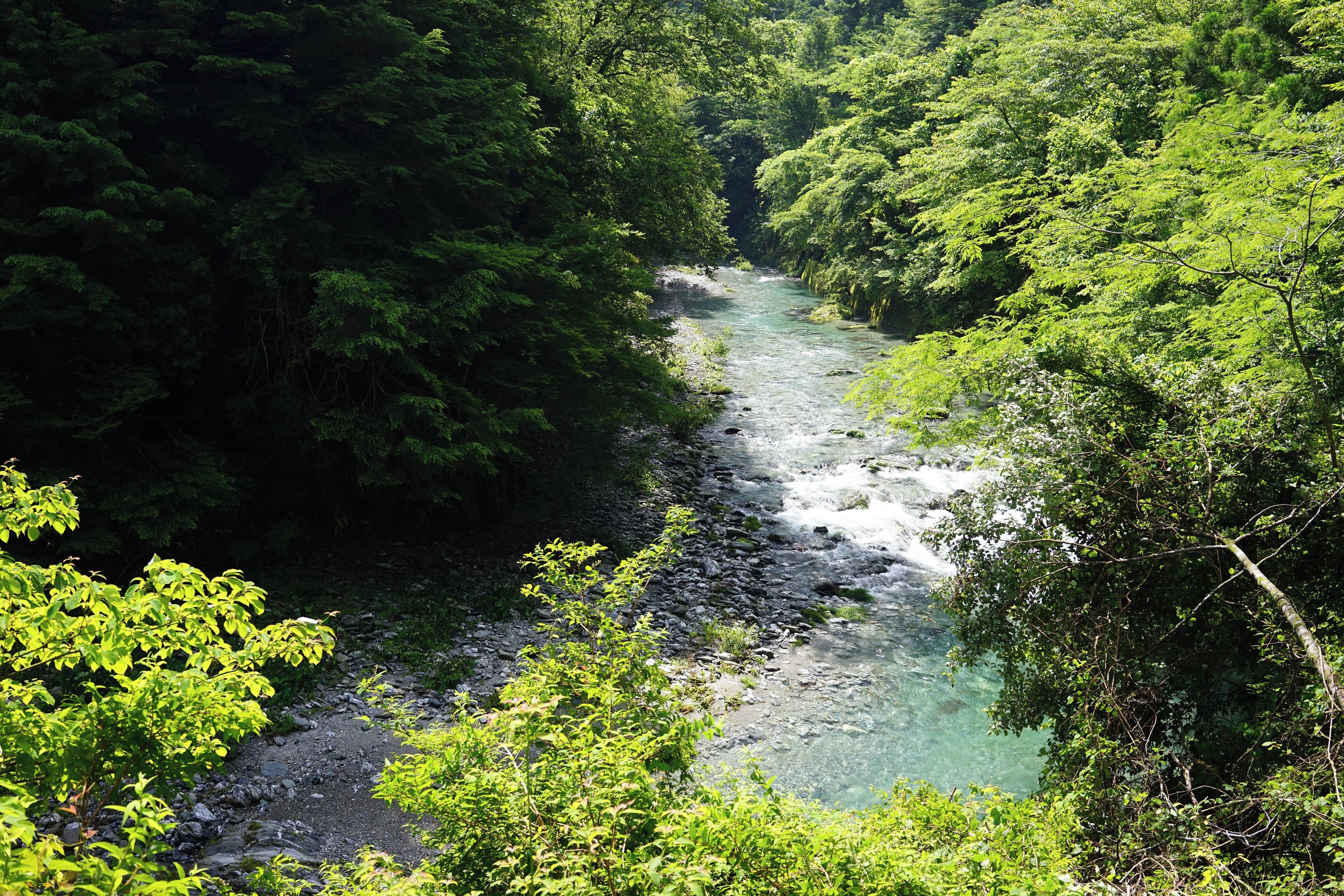 Sedo, Tosa, Tosa District, Kochi Prefecture 781-3337, Japan