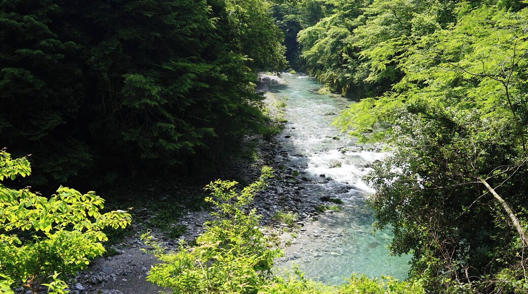 Sedo, Tosa, Tosa District, Kochi Prefecture 781-3337, Japan