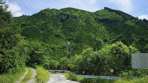 Sedo, Tosa, Tosa District, Kochi Prefecture 781-3337, Japan