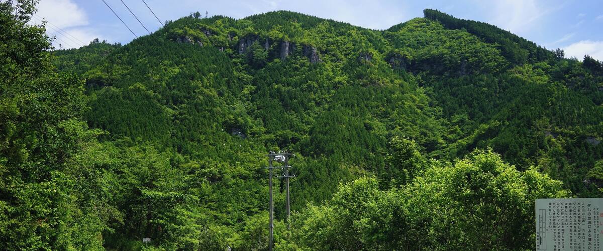 A winding road in a forested area with a mountain in the background.