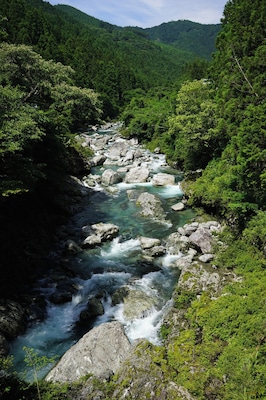 Sedo, Tosa, Tosa District, Kochi Prefecture 781-3337, Japan