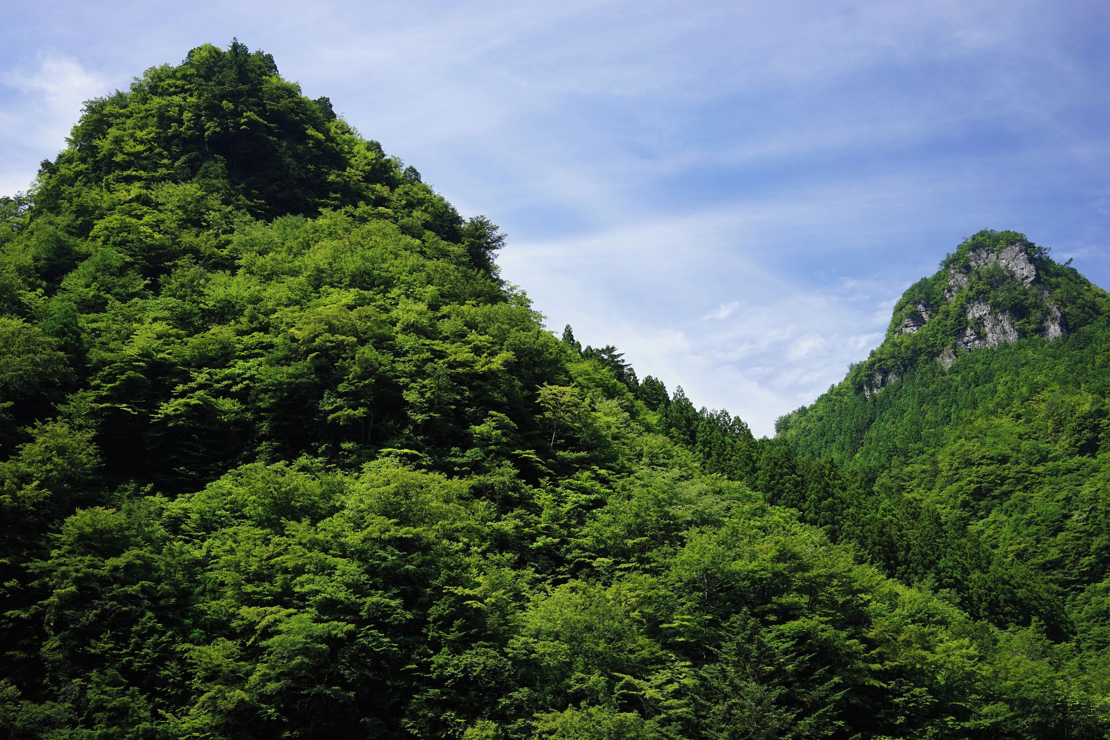 Sedo, Tosa, Tosa District, Kochi Prefecture 781-3337, Japan