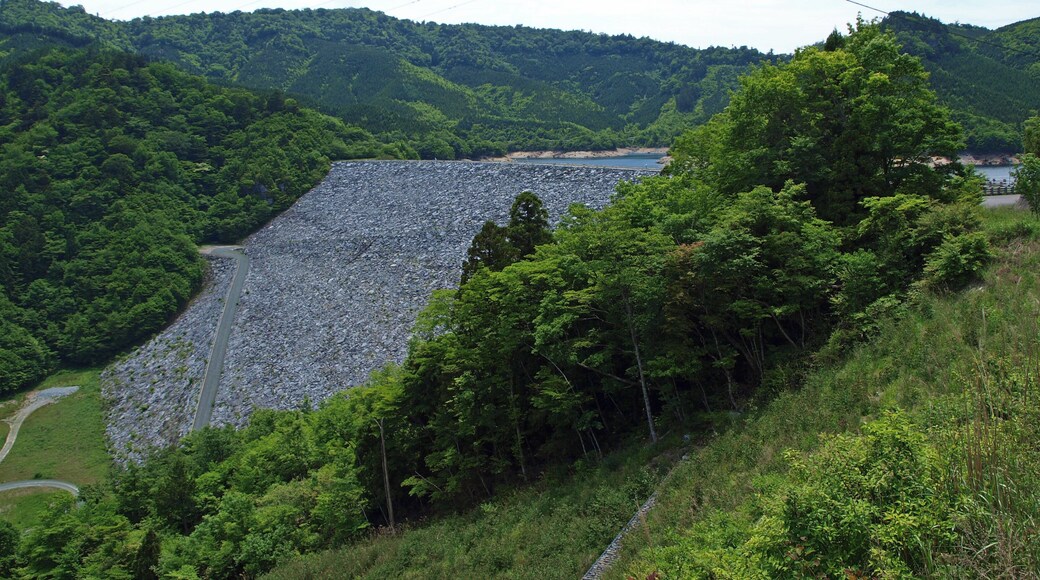 Inamura dam(Seto river/Kochi pref./Japan)