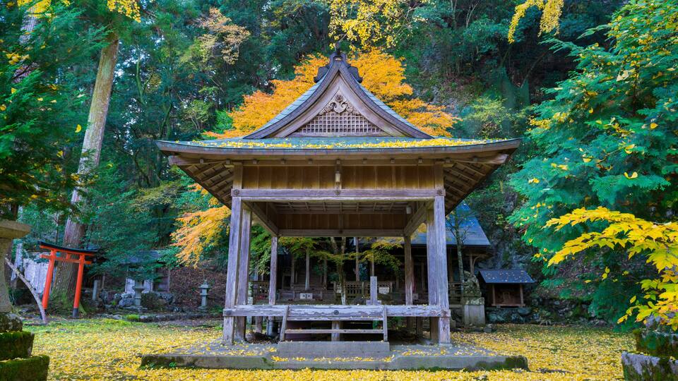 京都 岩戸落葉神社(いわとおちばじんじゃ)の紅葉