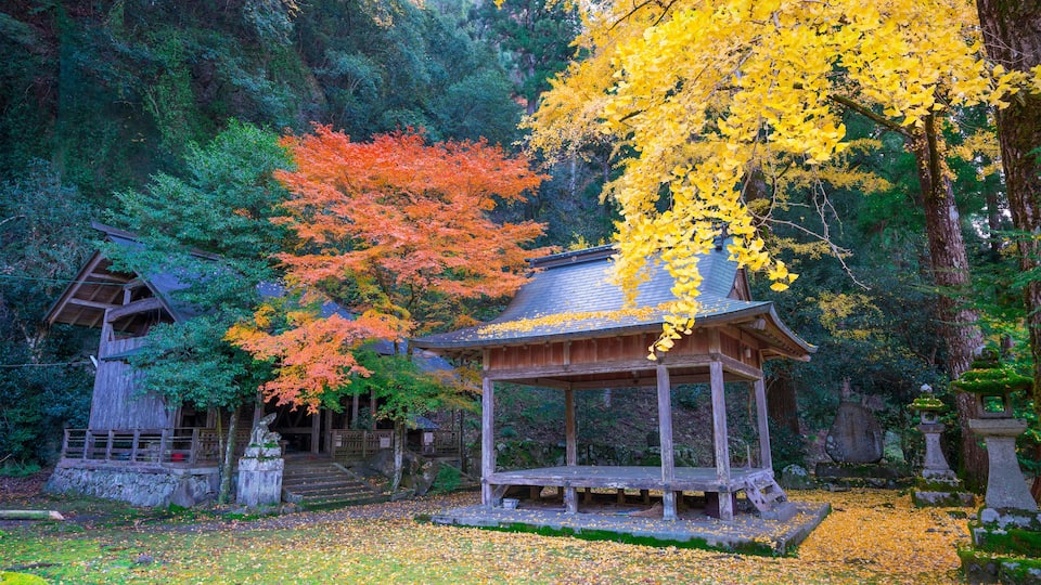 京都 岩戸落葉神社(いわとおちばじんじゃ)の紅葉