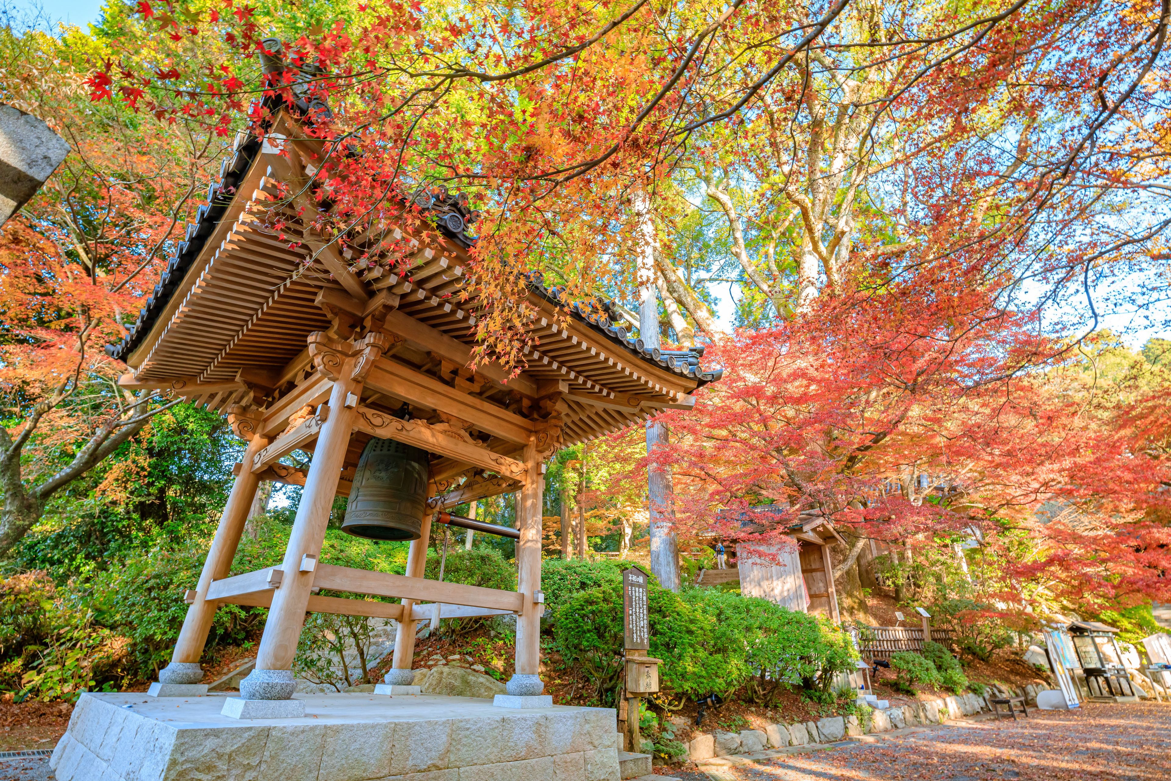 秋の大興善寺　佐賀県三養基郡　Daikozenji temple in autumn. Saga Prefecture, Miyaki-gun.